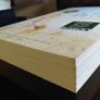 The Truth Will Out ! HAND SIGNED by Anna McPartlin ! First edition ! AUTOGRAPH ! Image 7