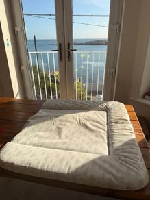 Premium Padded Baby Changing Mat