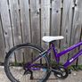 Purple Apollo Bike Image 3