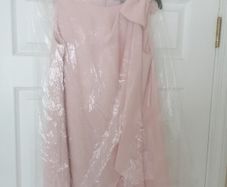Coast Sleeveless Dress