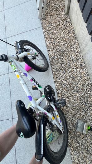 kids 16 frog 48 bike