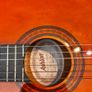 Ashton Guitar Image 3