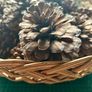 Basket of Large Cones Image 2