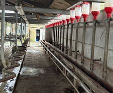 Milking parlour
