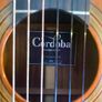 Rare Cordoba Fusion 12 Orchestra CE  Luthier (Derrick Nelson) Image 2