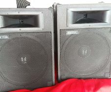 Peavey and Toa monitors
