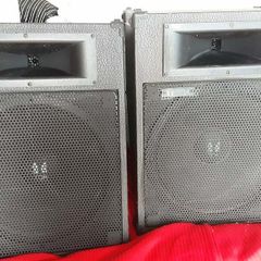 Peavey and Toa monitors