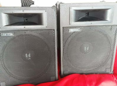 Peavey and Toa monitors