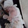 Large Mother & Child Statuette Image 3