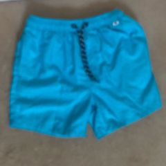Next Boys Turqouise Swim Shorts - Age 10 Years