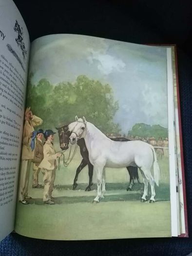 Album of Horses" by Marguerite Henry