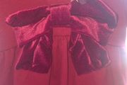 Christmas dress