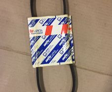 Alternator Belt  (Fiat Bravo Brava)