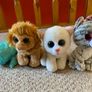 Beanie boos x 4 Image 4