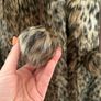 Topshop coat Image 4