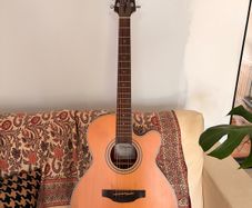 Takamine Acoustic Guitar