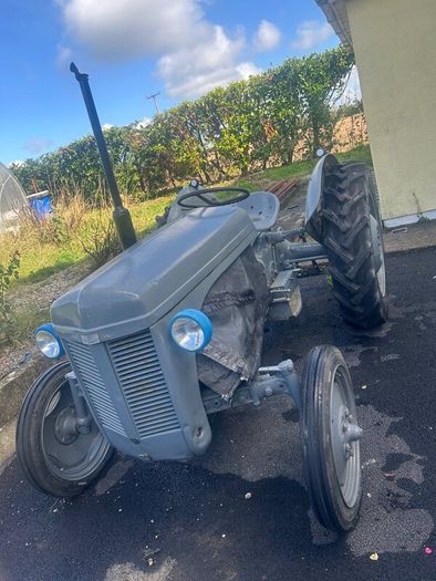1950 Ferguson 20 Petrol