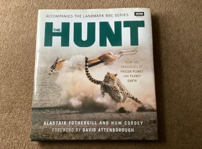 The Hunt