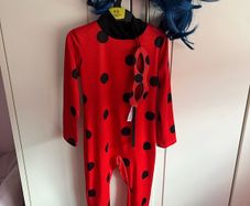 kids costume girls - miraculous