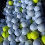 40 Callaway Golf Balls Image 3