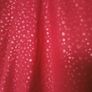 Paul Costelloe Living Studio PASHMINA  scarf NEW Image 2