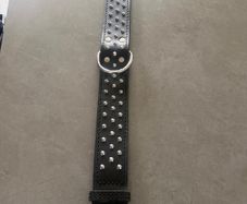 dog collar