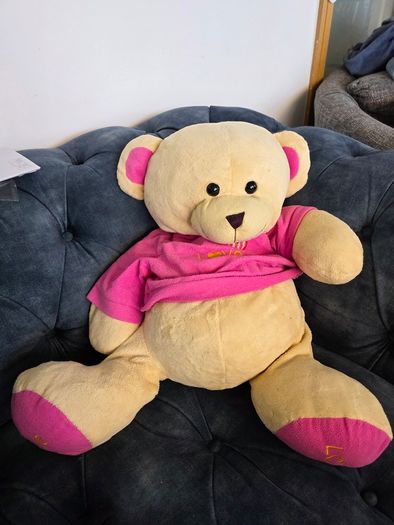 Big teddy