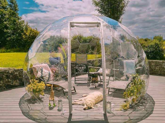 Garden Dome SALE!!