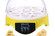 7 Eggs Hatcher Digital Egg Incubator