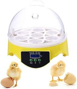 7 Eggs Hatcher Digital Egg Incubator