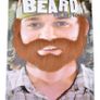 halloween fake beard/mustache Image 2