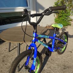 Apollo bike 16"