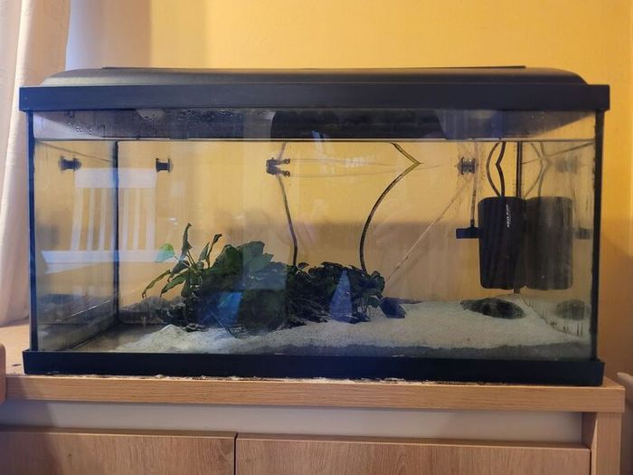 Aquarium with pump and plants