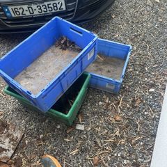 Storage boxes x 3