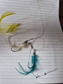 Fish Hook