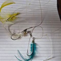 Fish Hook