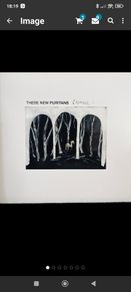 These new puritans