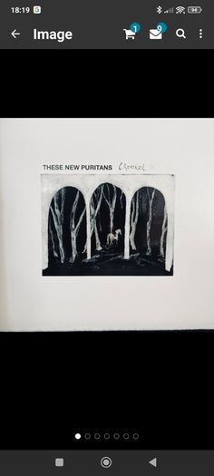 These new puritans