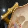 Antique 100 year old  WAA &  Co (adderely) two handled dish Image 7