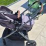 Maxi Cosi Buggy Image 2