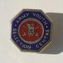 ARMY YOUTH SELECTION CENTRE (British Army) - recruit's badge (late 60's / early 70s) Image 3