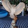 Vintage figurine of two birds Image 6