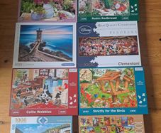 Jigsaws (Not free read ad)