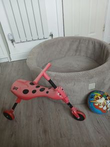 Ball pit 85cm x 28cm H and ladybug scooter