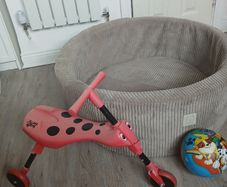 Ball pit 85cm x 28cm H and ladybug scooter