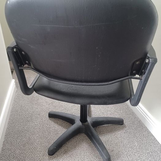 Hair salon backwash chair
