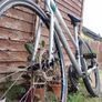 women's bike Image 2