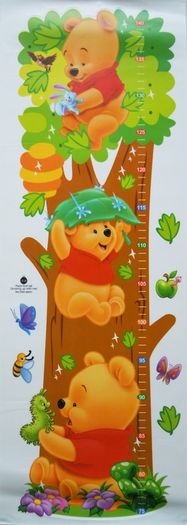 Winnie the Pooh Wall Stickers Nursery Kids Growth Chart Mural Decal