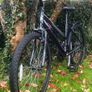 Ladies 26" Bicycle Image 2