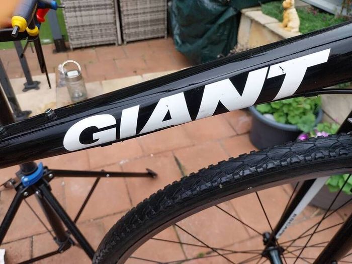 giant  escape hybrid
